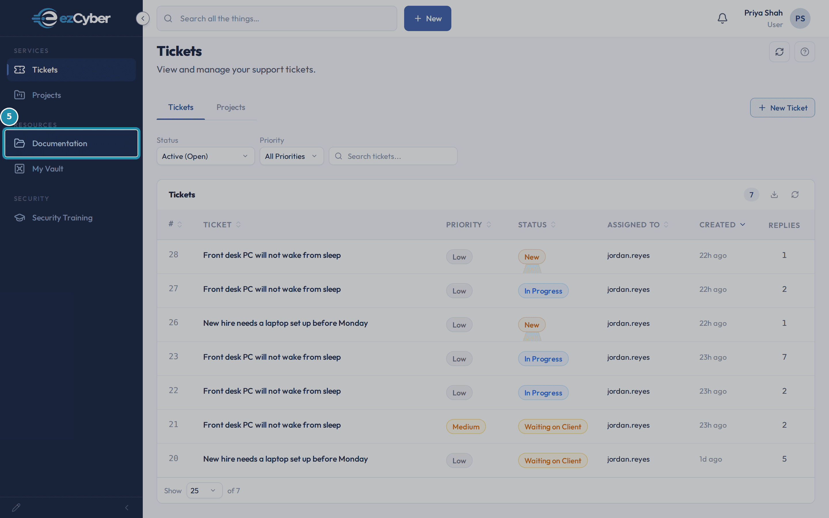 The client portal sidebar with Documentation highlighted under Resources.